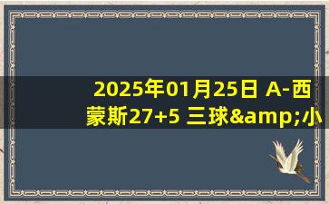 2025年01月25日 A-西蒙斯27+5 三球&小桥缺阵 开拓者力擒残阵黄蜂取4连胜